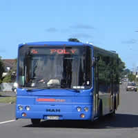 �o�X